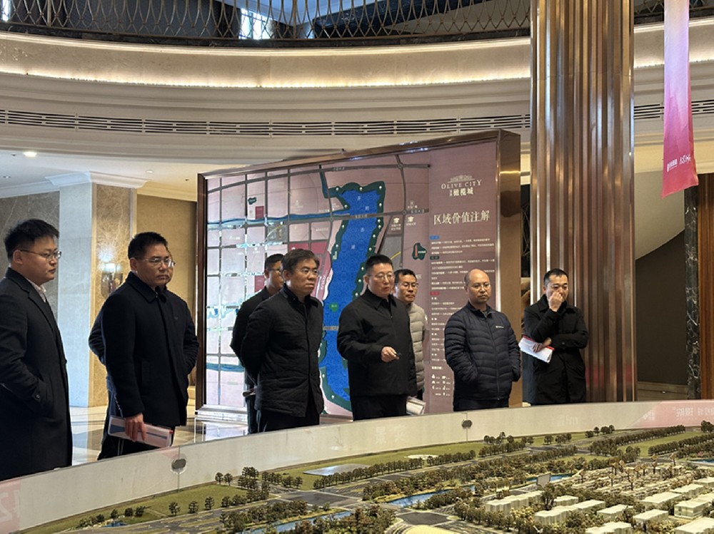黨委書記、董事長汪洋調研開封項目并指導經營發(fā)展工作